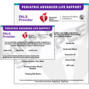 25-3006-pals-provider-ecard
