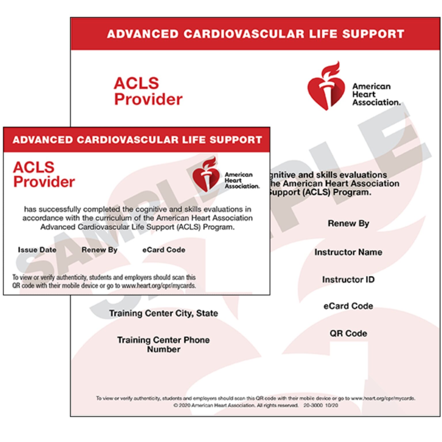 BLS, ACLS & PALS Classes | Online & In-Person Options