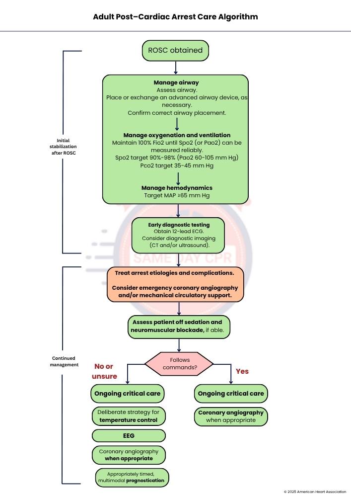 adult-post-cardiac-arrest-care-algorithm