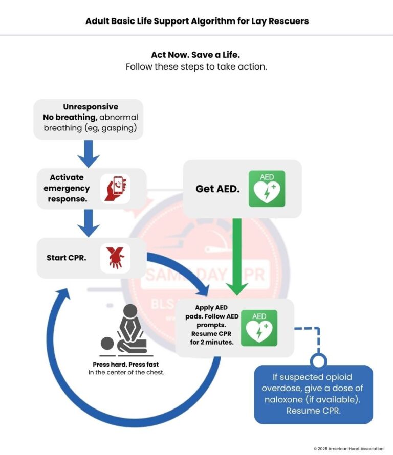 adult-basic-life-support-algorithm-lay-rescuers