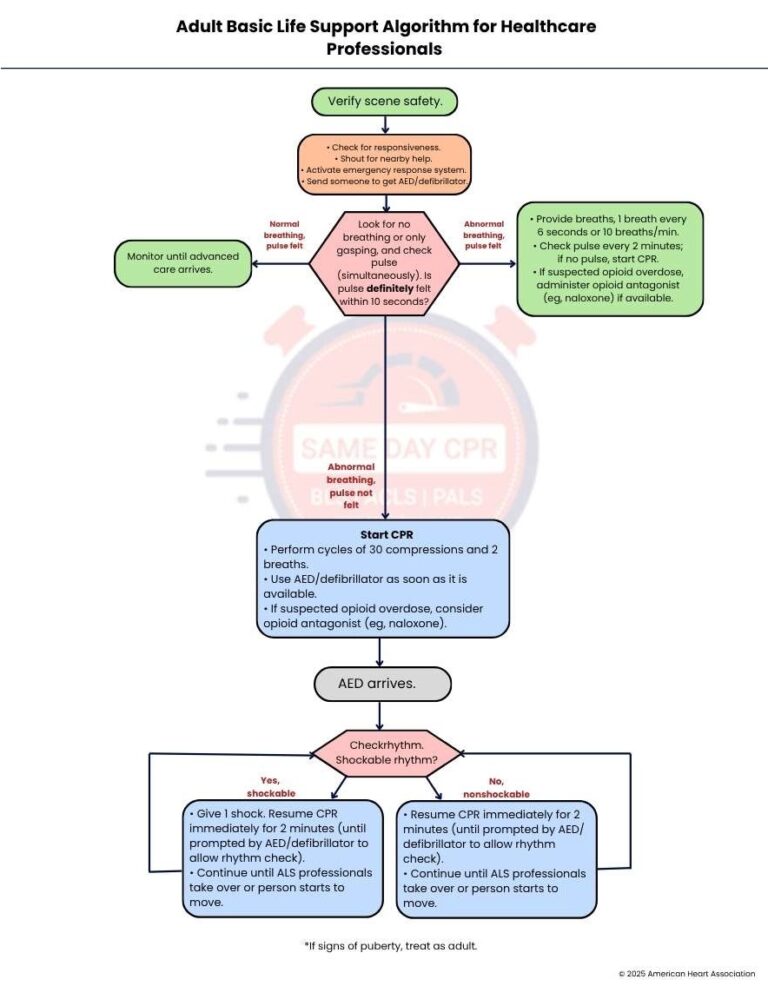 adult-bls-algorithm-healthcare-professionals