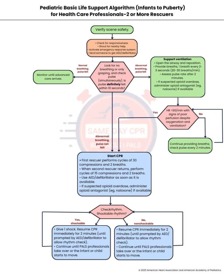pediatric-bls-algorithm-infants-to-puberty-two-rescuer