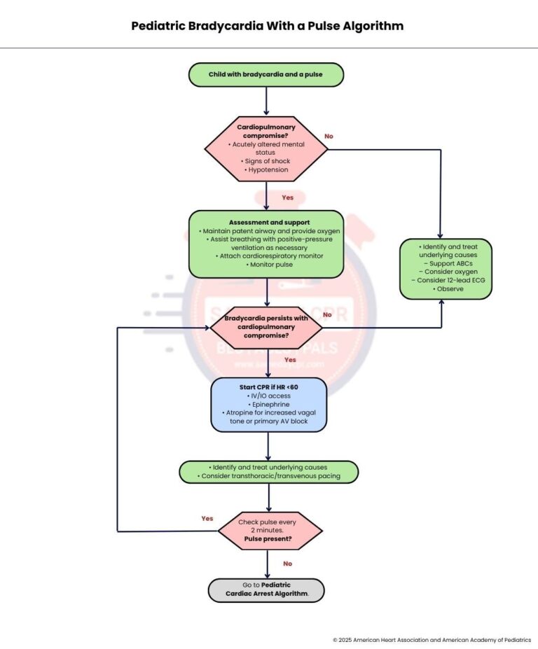 pediatric-bradyacrdia-algorithm