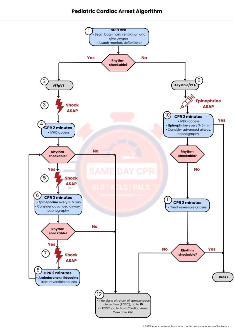 pediatric-cardiac-arrest-algorithm